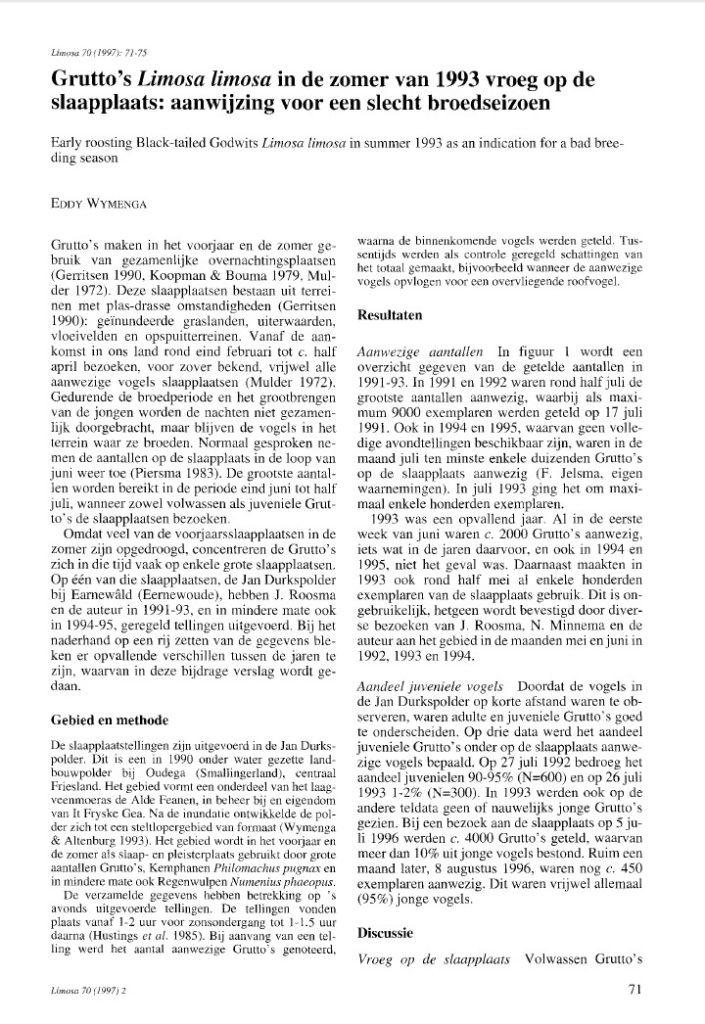 Grutto’s Limosa Limosa In De Zomer Van 1993 Vroeg Op De