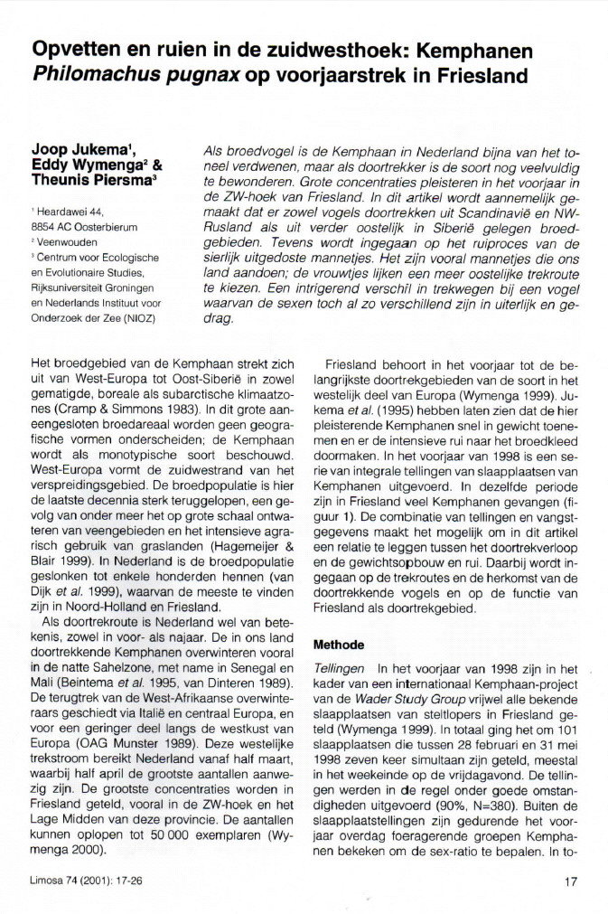 Opvetten En Ruien In De Zuidwesthoek Kemphanen Philomachus Pugnax Op Voorjaarstrek In Friesland