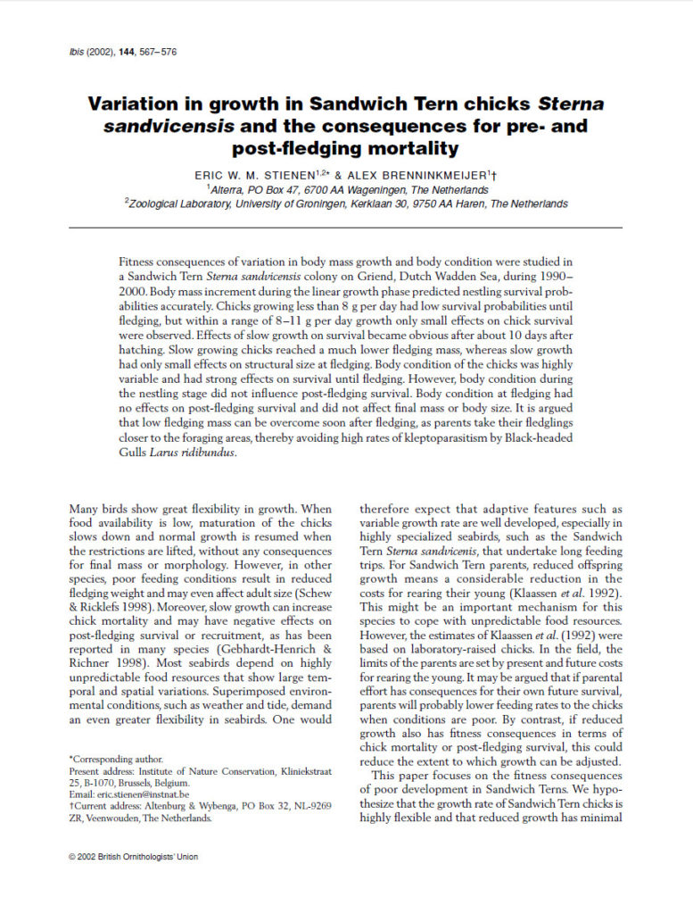 Variation In Growth In Sandwich Tern Chicks Sterna Sandvicensis And The Consequences For Pre And Post Fledging Mortality