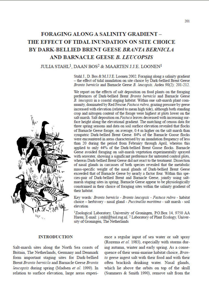 Foraging Along A Salinity Gradient