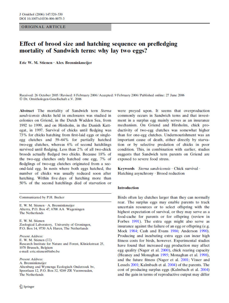 Effect Of Brood Size And Hatching Sequence On Prefledging Mortality Of Sandwich Terns Why Lay Two Eggs