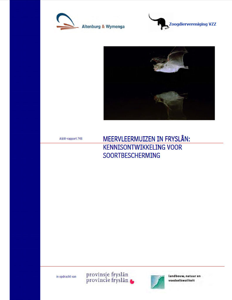 Meervleermuizen In Fryslân Kennisontwikkeling Voor Soortbescherming