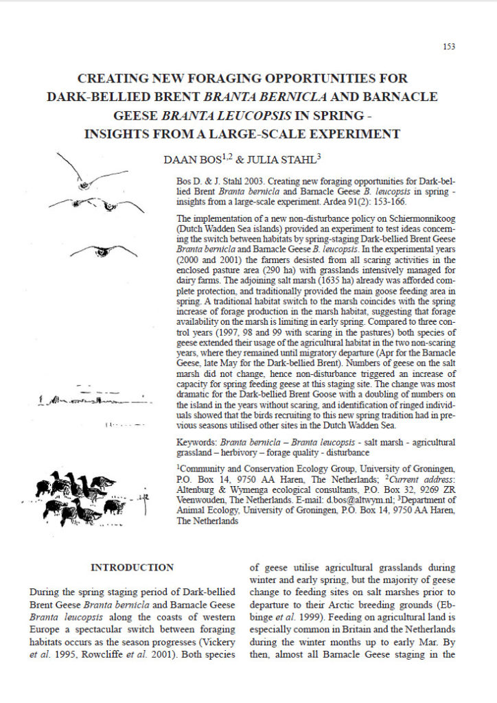 Creating New Foraging Opportunities For Dark Bellied Brent Branta Bernicla And Barnacle Geese Branta Leucopsis In Spring Insights From A Large Scale Experiment