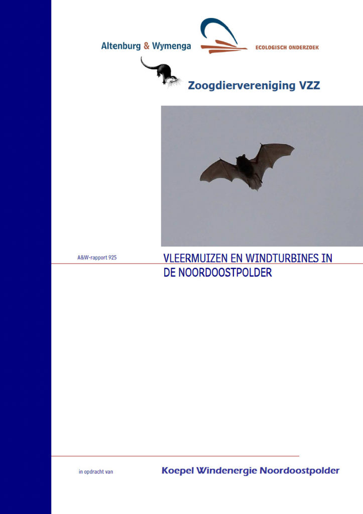 Vleermuizen En Windturbines In De Noordoostpolder