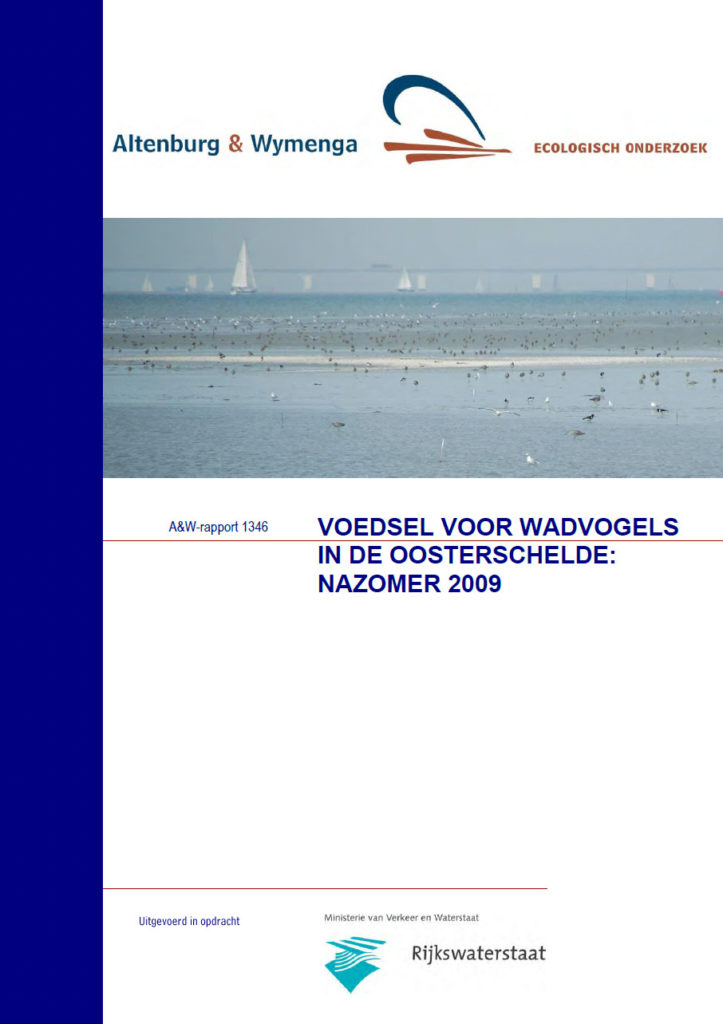 Voedsel Voor Wadvogels In De Oosterschelde Nazomer 2009