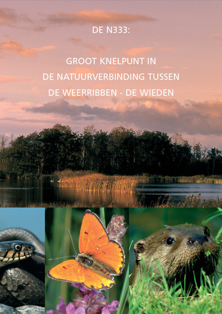 Brochure De N333 Groot Knelpunt In De Natuurverbinding Tussen De Weerribben De Wieden