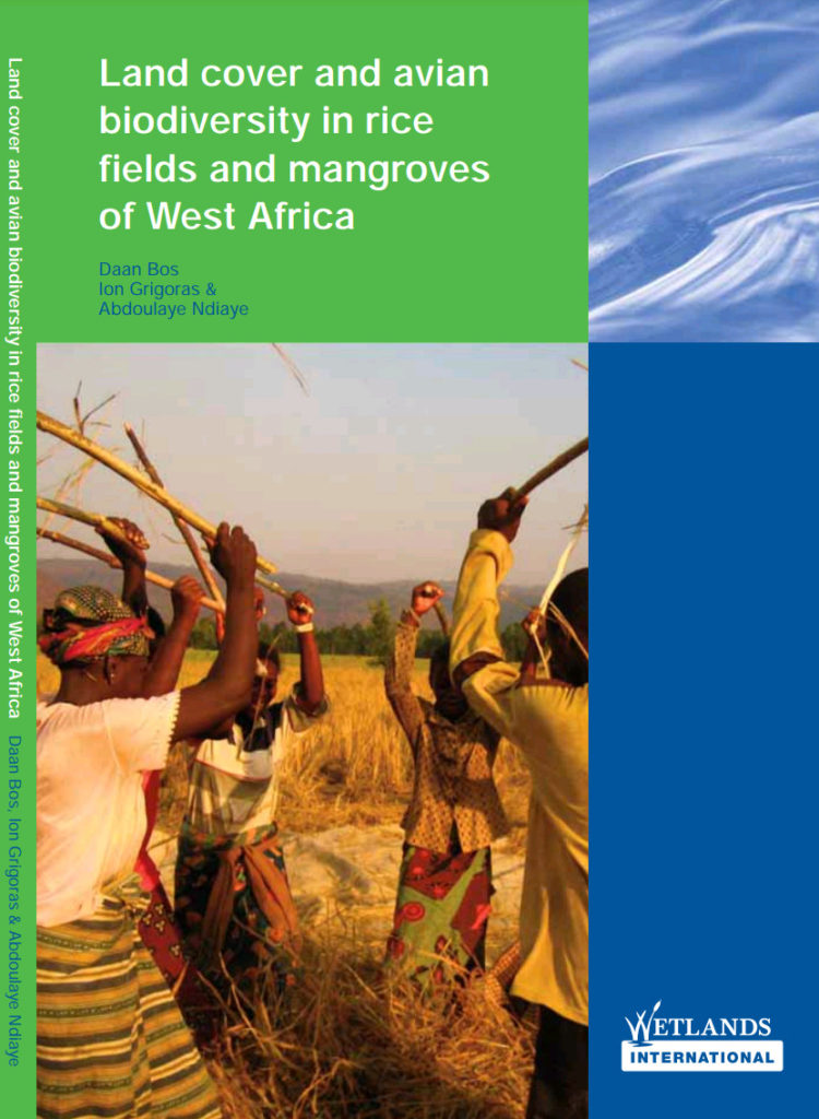 Land Cover And Avian Biodiversity In Rice Fields And Mangroves Of West Africa