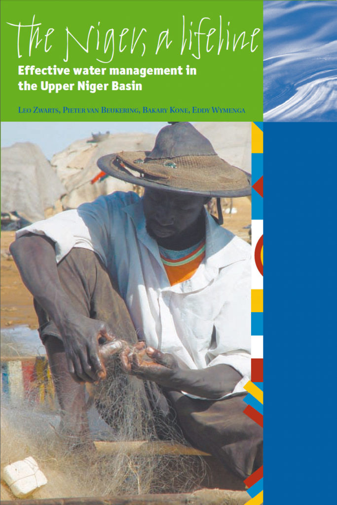 NIgerlifelinesummery