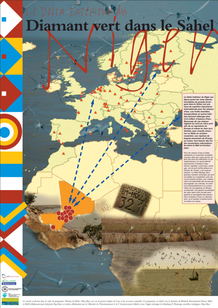 Poster Trekvogels Niger