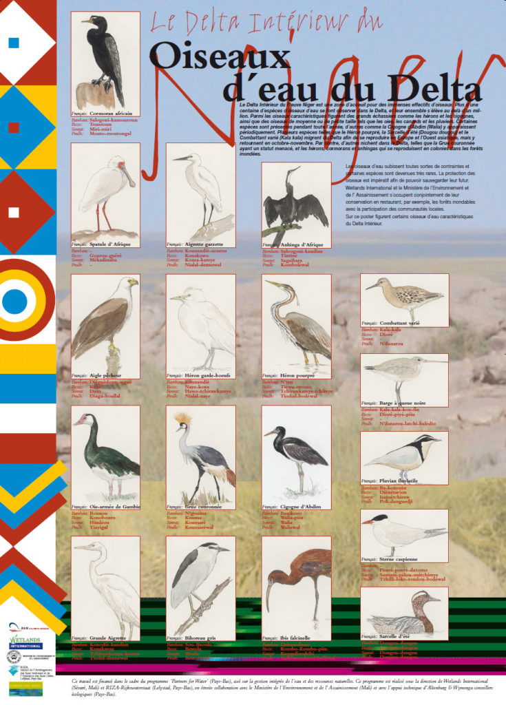 Poster Vogelsoorten Niger