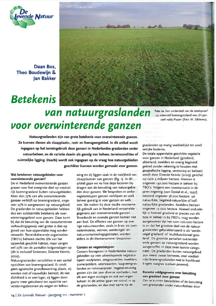 Betekenis Van Natuurgraslanden Voor Onverwinterende Ganzen