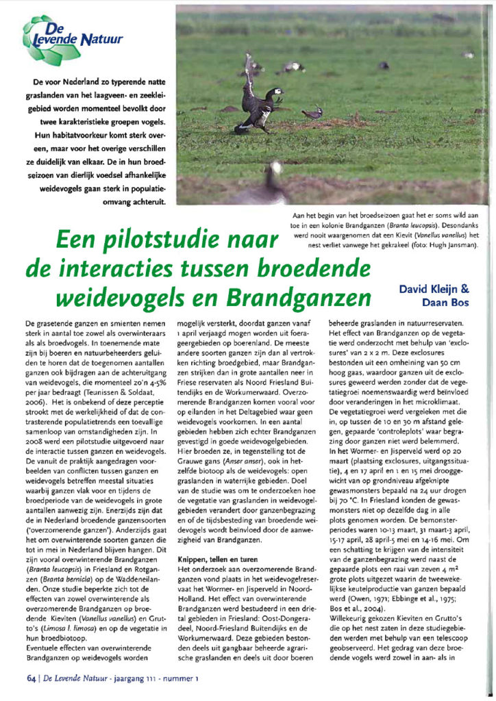 Een Pilotstudie Naar De Interacties Tussen Broedende Weidevogels En Brandganzen