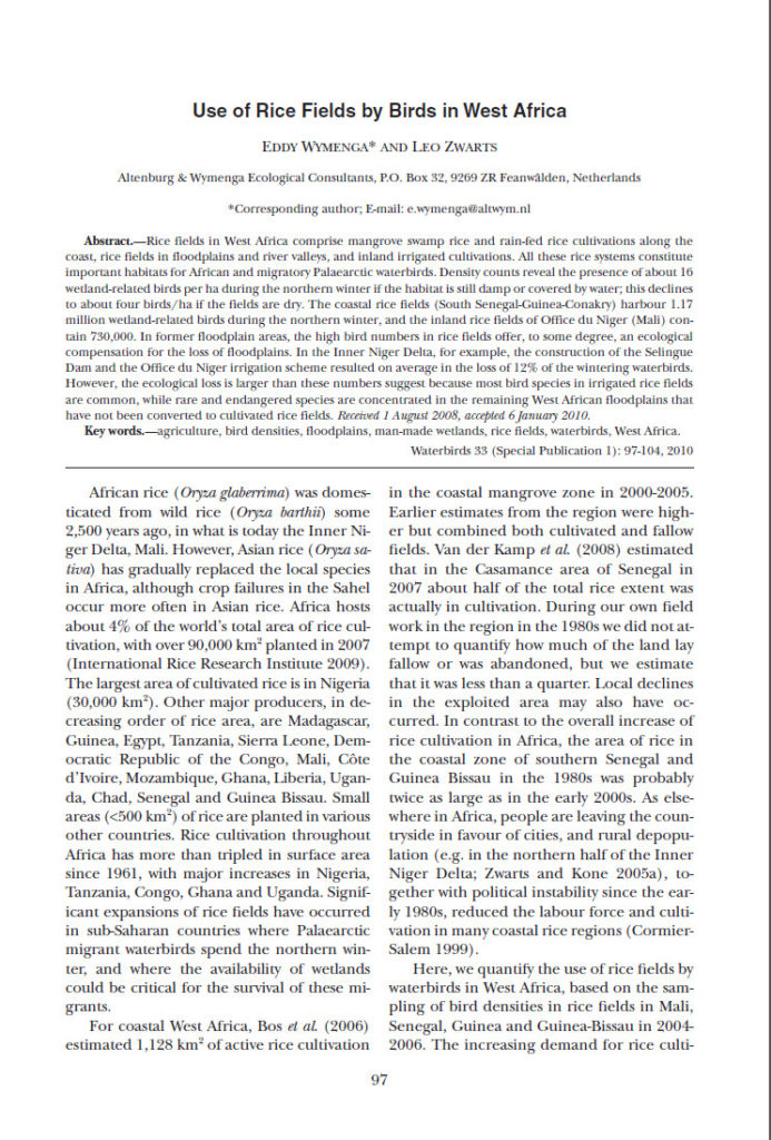 Use Of Rice Fields By Birds In West Africa