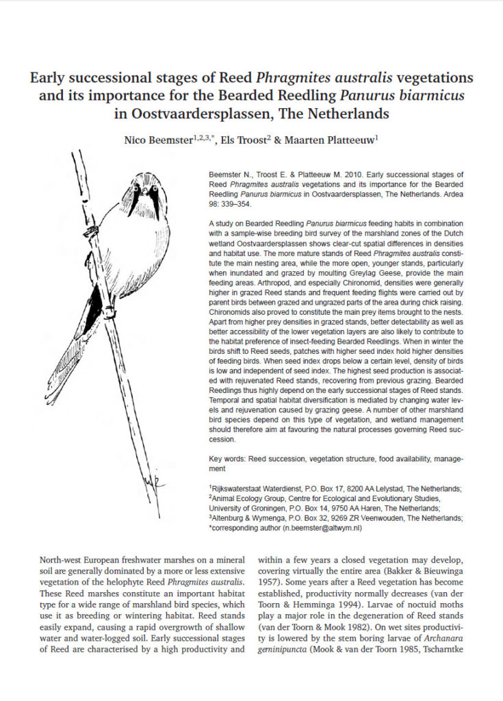 Early Successional Stages Of Reed Phragmites Australis Vegetations And Its Importance For The Bearded Reedling Panurus Biarmicus In Oostvaardersplassen The Netherlands