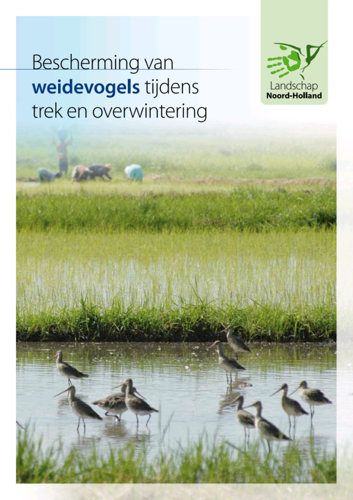 Bescherming Van Weidevogels Tijdens Trek En Overwintering