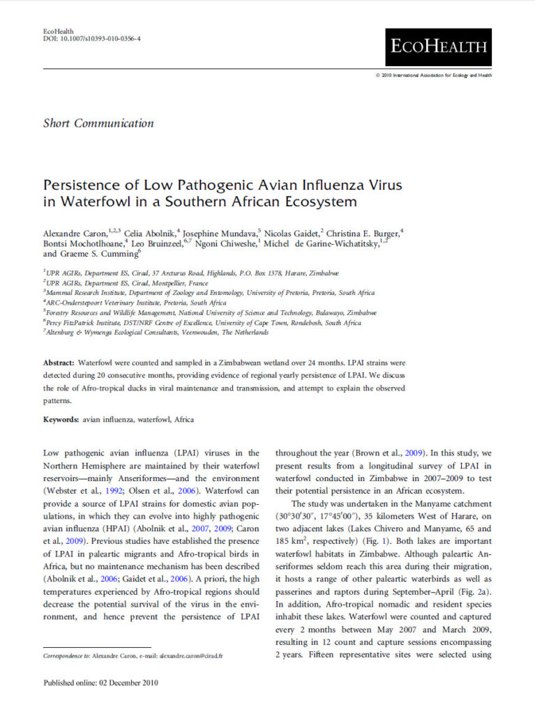 Persistence Of Low Pathogenic Avian Influenza Virus In Waterfowl In A Southern African Ecosystem