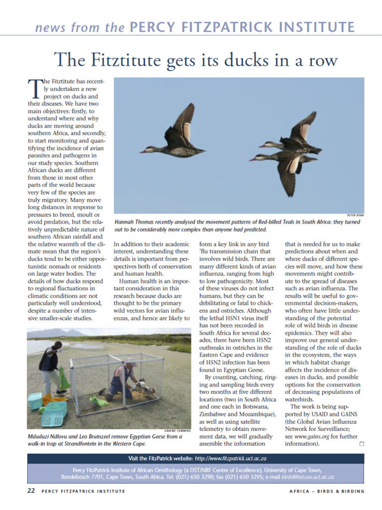 The Fitztitute Gets Its Ducks In A Row