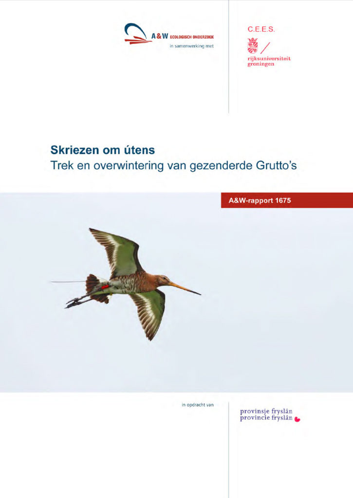 Skriezen Om útens, Trek En Overwintering Van Gezenderde Grutto’s