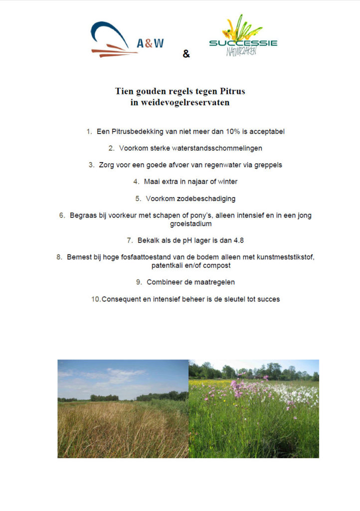 Tien Gouden Regels Tegen Pitrus In Weidevogelreservaten