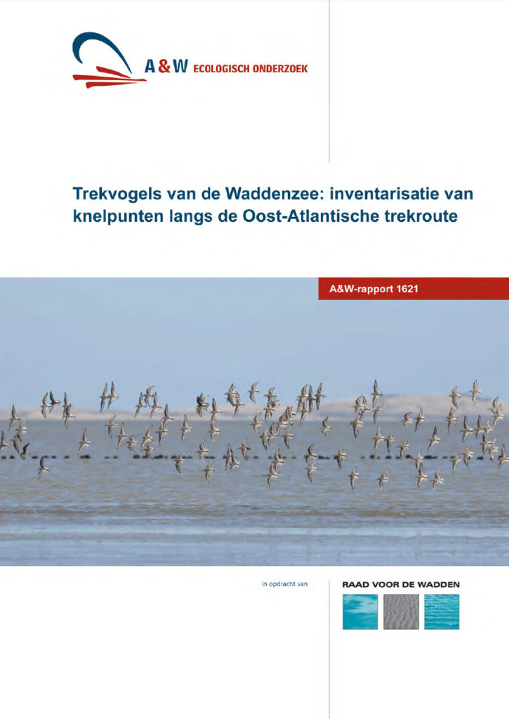 Trekvogels Van De Waddenzee Inventarisatie Van Knelpunten Langs De Oost Atlantische Trekroute