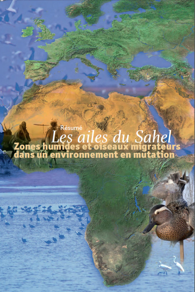 Résumé Les Ailes Du Sahel
