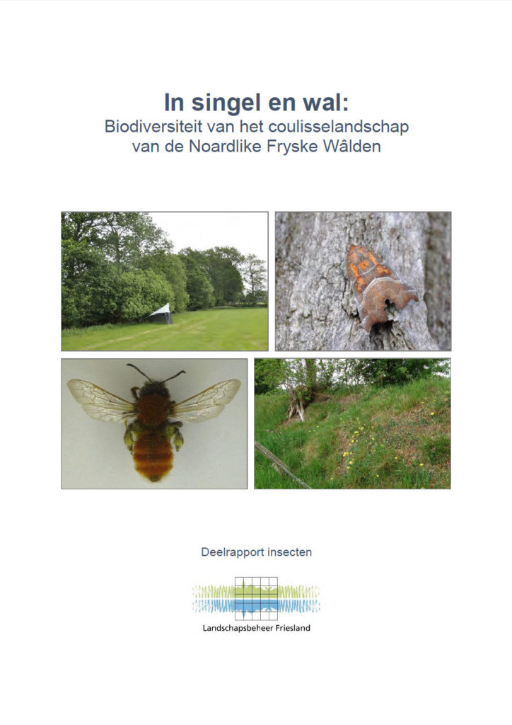 In Singel En Wal Biodiversiteit Van Het Coulisselandschap Van De Noardlike Fryske Wâlden Deelrapport Insecten
