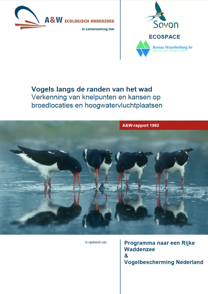 Vogels Langs De Randen Van Het Wad, Verkenning Van Knelpunten En Kansen Op Broedlocaties En Hoogwatervluchtplaatsen