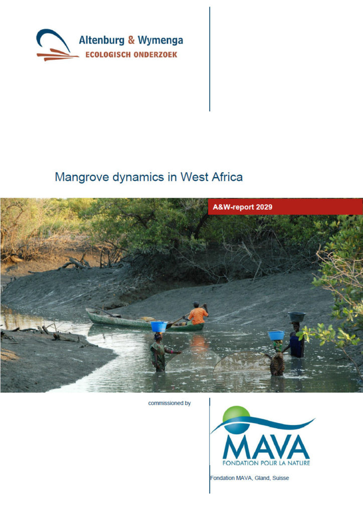 Mangrove Dynamics In West Africa
