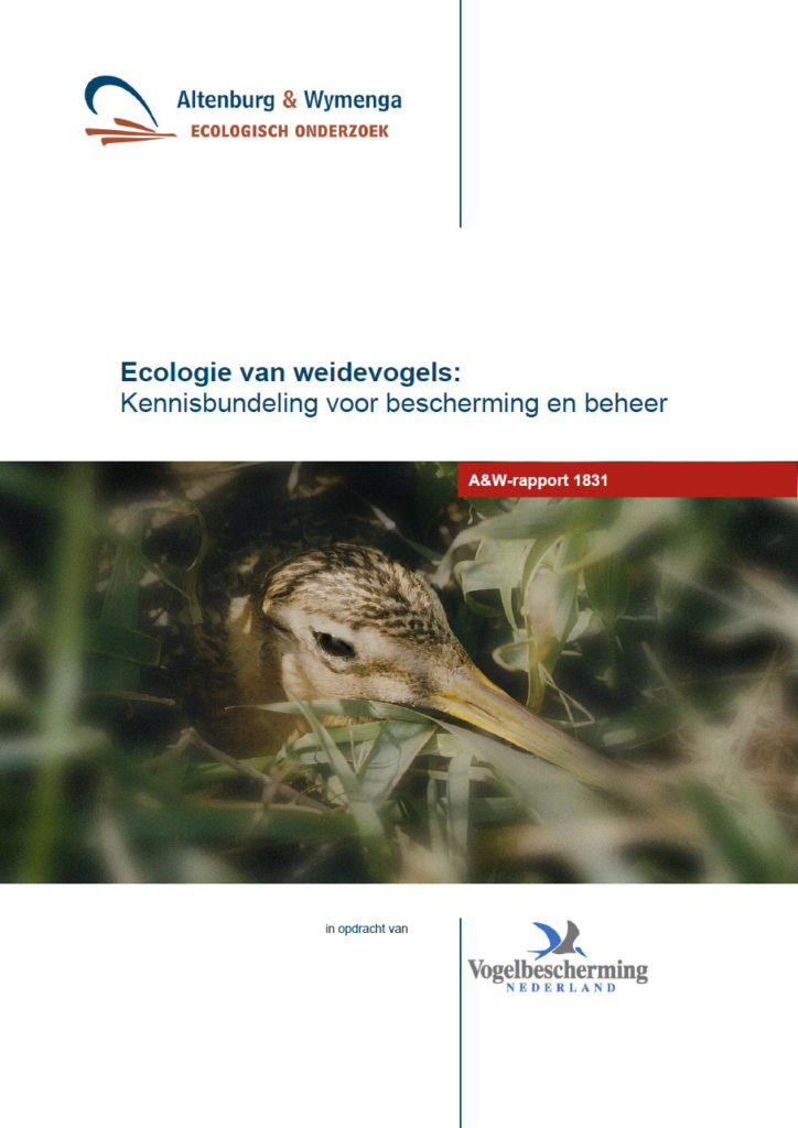 Ecologie Van Weidevogels Kennisbundeling Voor Bescherming En Beheer