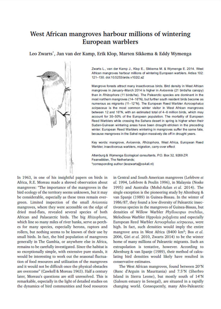 West African Mangroves Harbour Millions Of Wintering