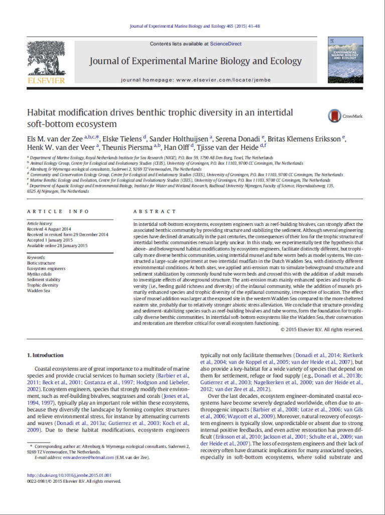 Habitat Modification Drives Benthic Trophic Diversity In An Intertidal Soft Bottom Ecosystem