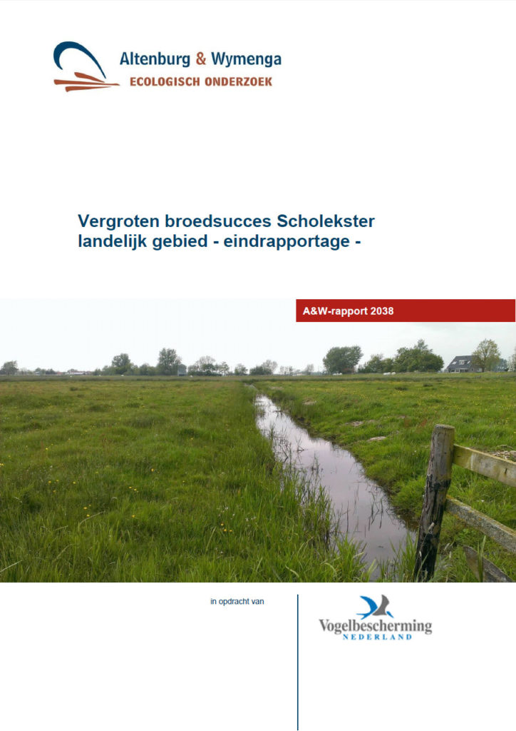 Vergroten Broedsucces Scholekster Landelijk Gebied