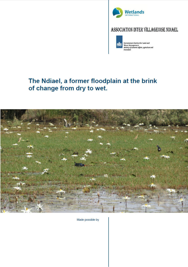 The Ndiael, A Former Floodplain At The Brink Of Change From Dry To Wet