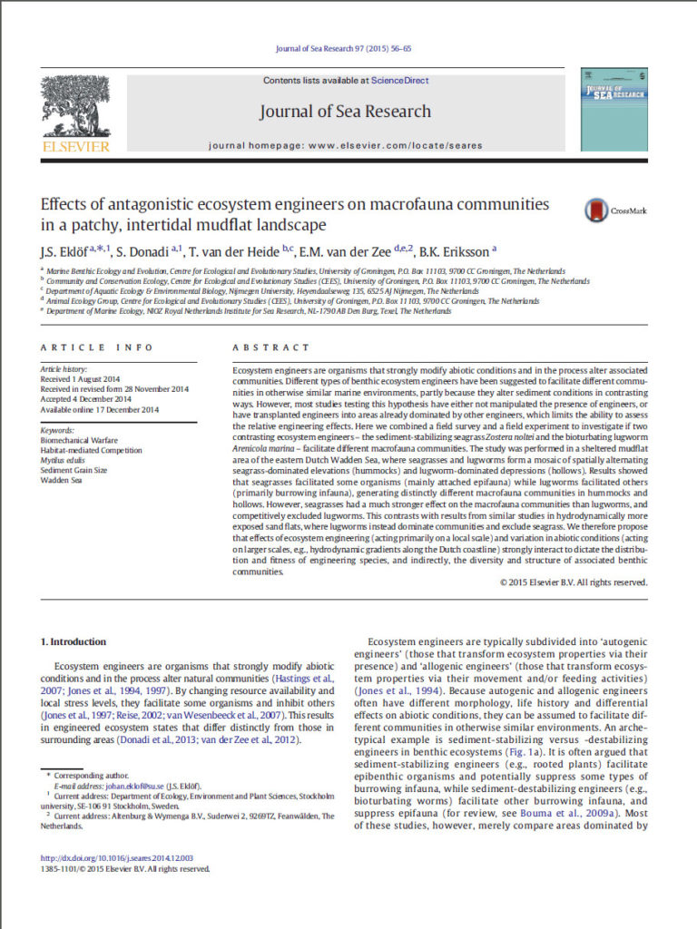 Effects Of Antagonistic Ecosystem Engineers On Macrofauna Communities In A Patchy