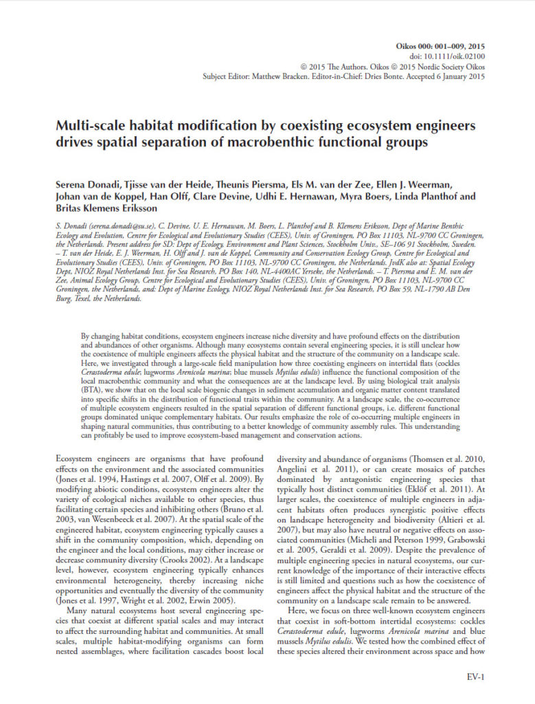 Multi Scale Habitat Modification By Coexisting Ecosystem Engineers Drives Spatial Separation Of Macrobenthic Functional Groups