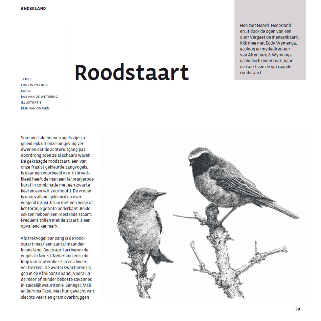 Roodstaart