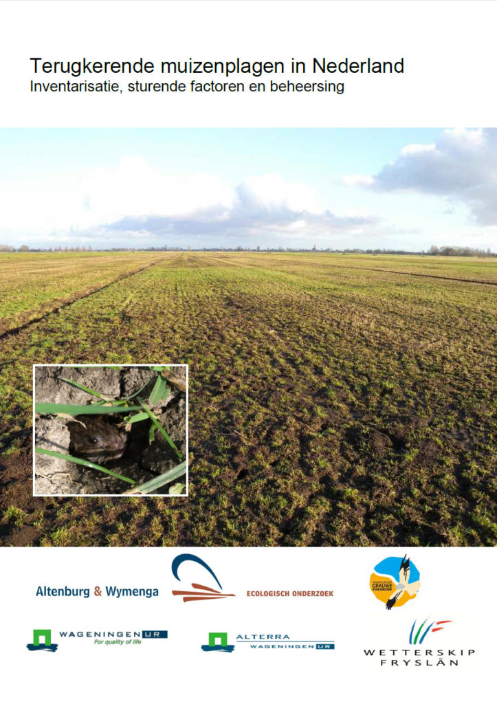 Terugkerende Muizenplagen In Nederland Inventarisatie Sturende Factoren En Beheersing