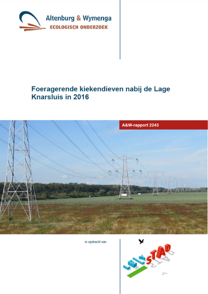 Foeragerende Kiekendieven Nabij De Lage Knarsluis In 2016