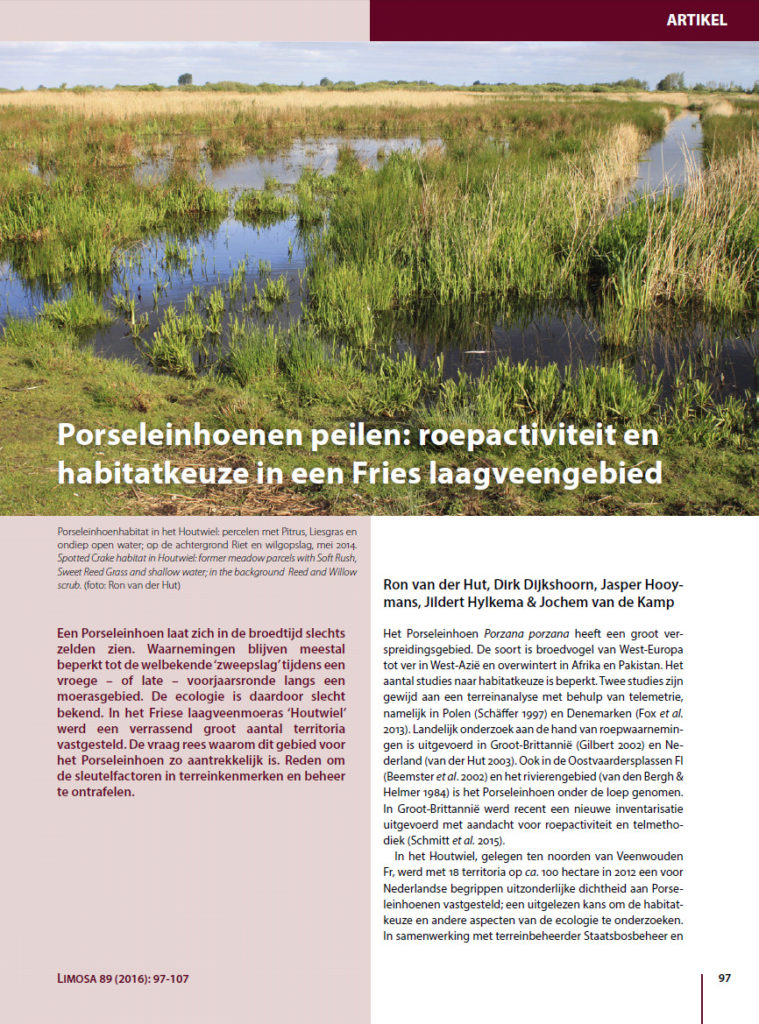 Porseleinhoenen Peilen Roepactiviteit En Habitatkeuze In Een Fries Laagveengebied