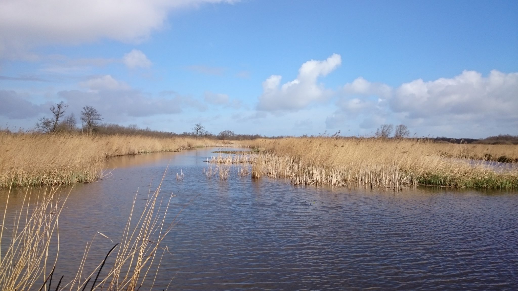 Alde Feanen, waar A&W veel werk doet