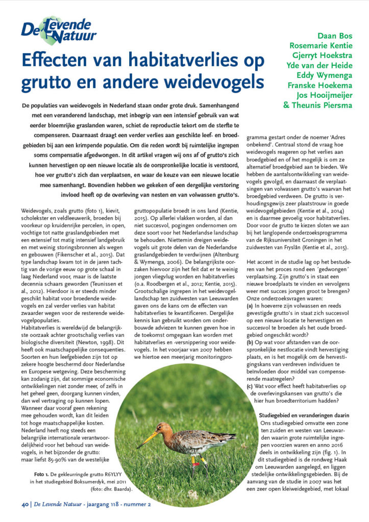 Effecten Van Habitatverlies Op Grutto En Andere Weidevogels
