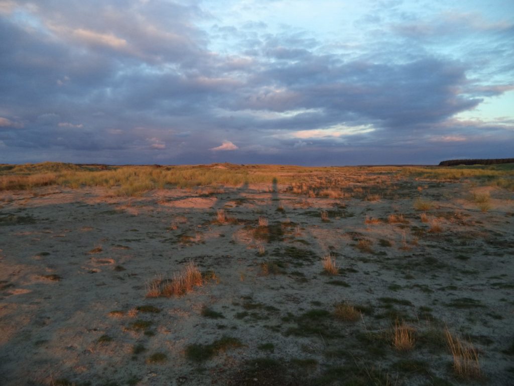 Roosduinen Ameland foto A&W