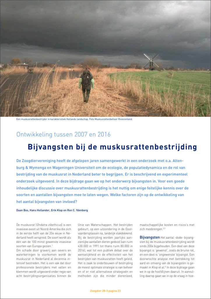 Bijvangsten Bij De Muskusrattenbestrijding