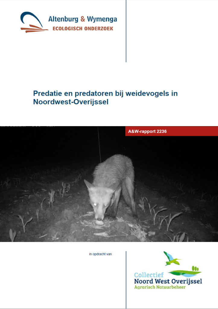 Predatie En Predatoren Bij Weidevogels In Noordwest Overijssel