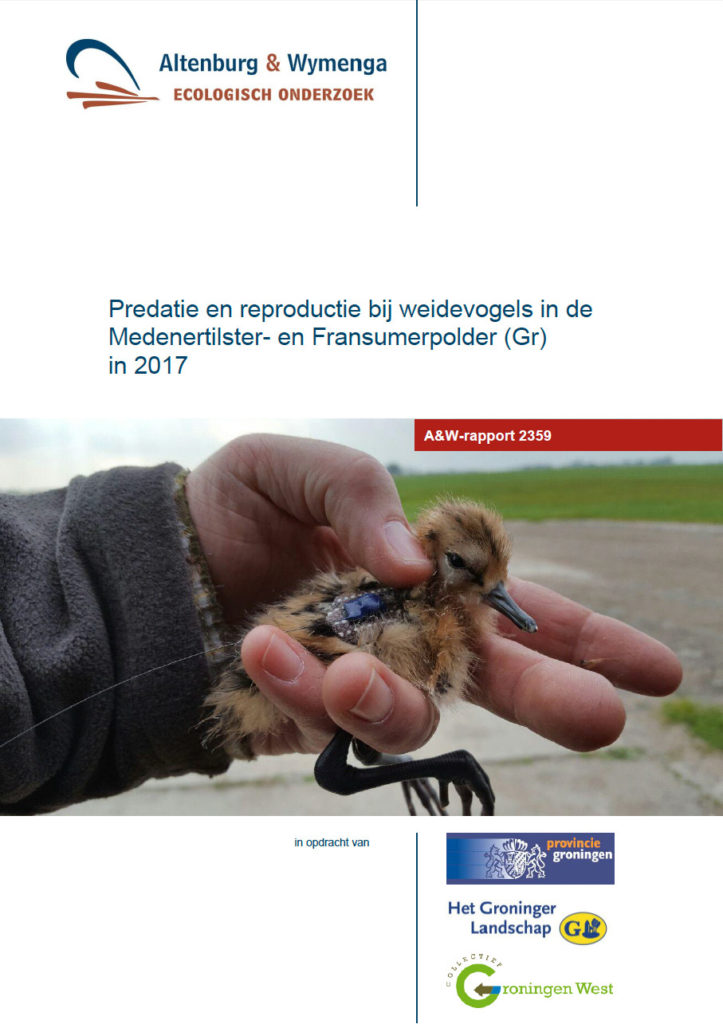 Predatie En Reproductie Bij Weidevogels In De Medenertilster En Fransumerpolder (Gr) In 2017
