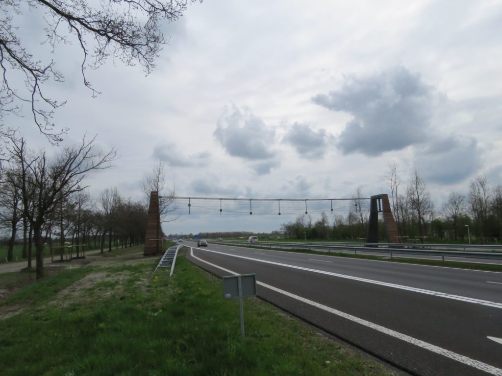 IMG 5548