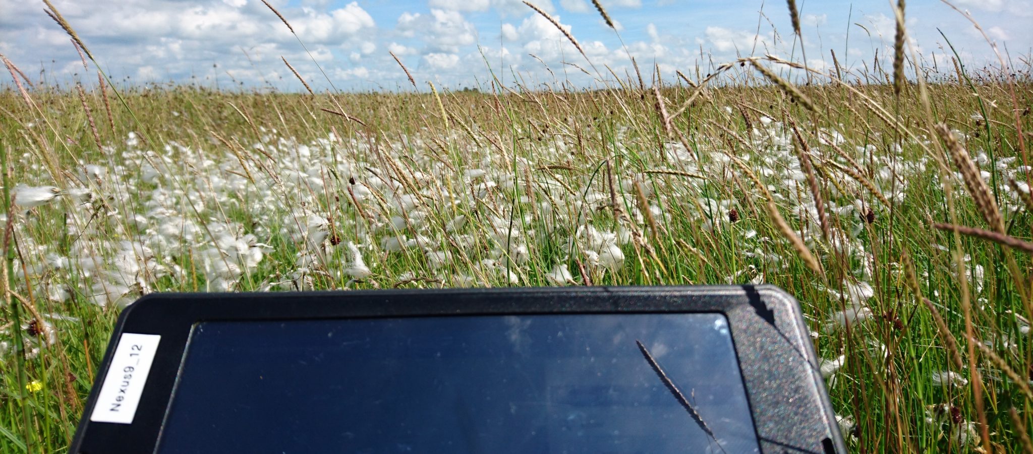 Tablet Veld Lang