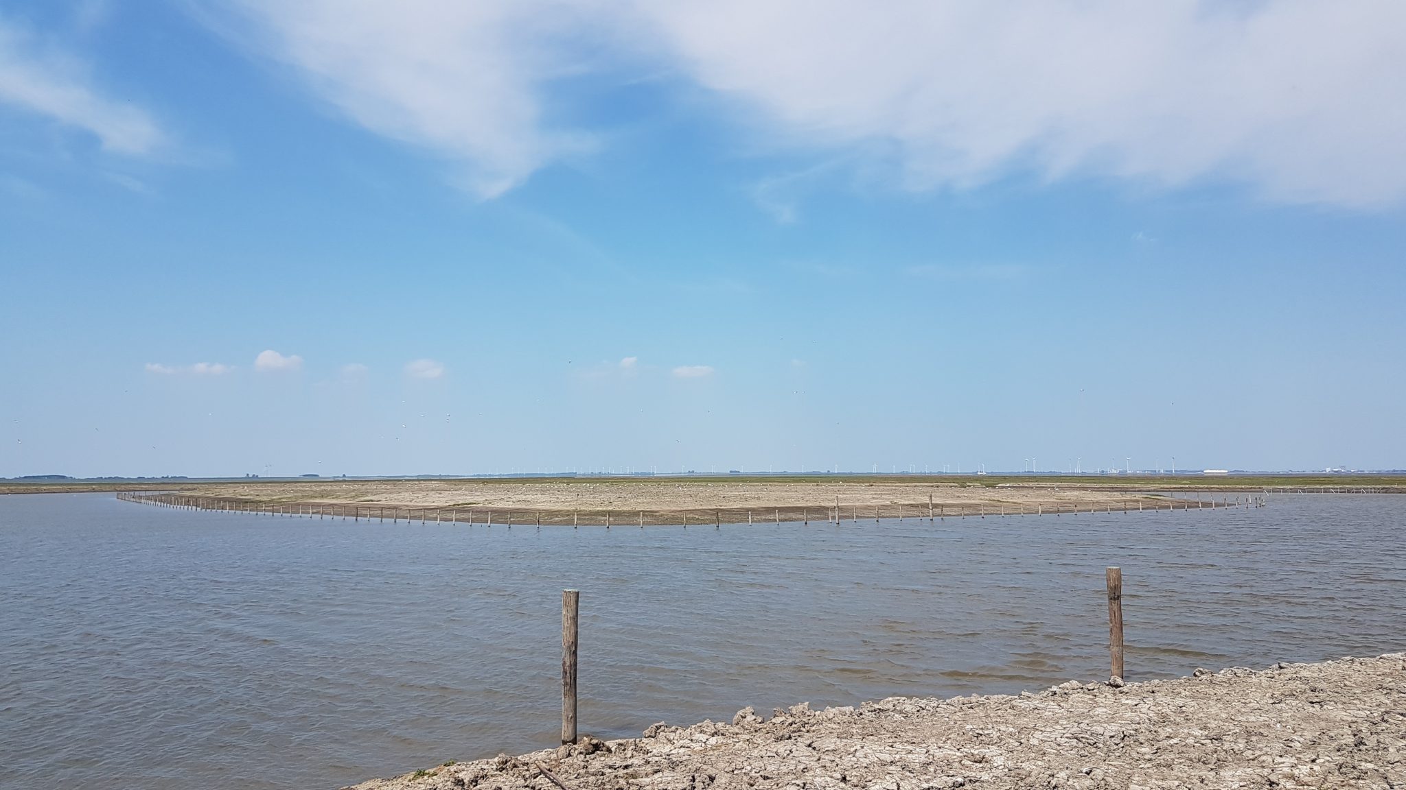 Kluteneiland bij de Dollard