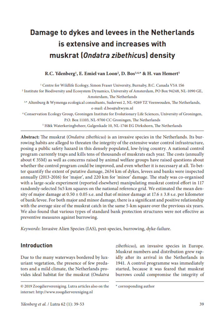 Damage To Dykes And Levees With Muskrat Density