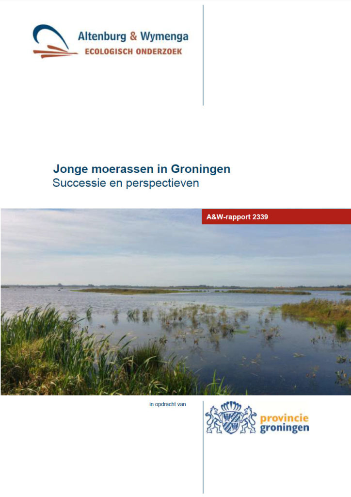 Jonge Moerassen In Groningen